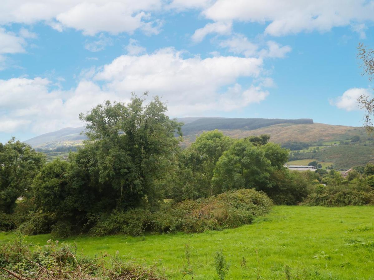 Whitethorn House Villa Newry Buitenkant foto