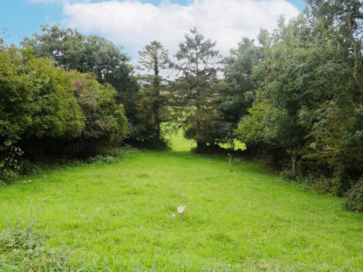 Whitethorn House Villa Newry Buitenkant foto
